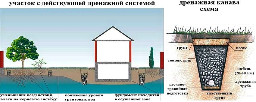 Дренажна система допомагає позбутися від надлишку води на ділянці